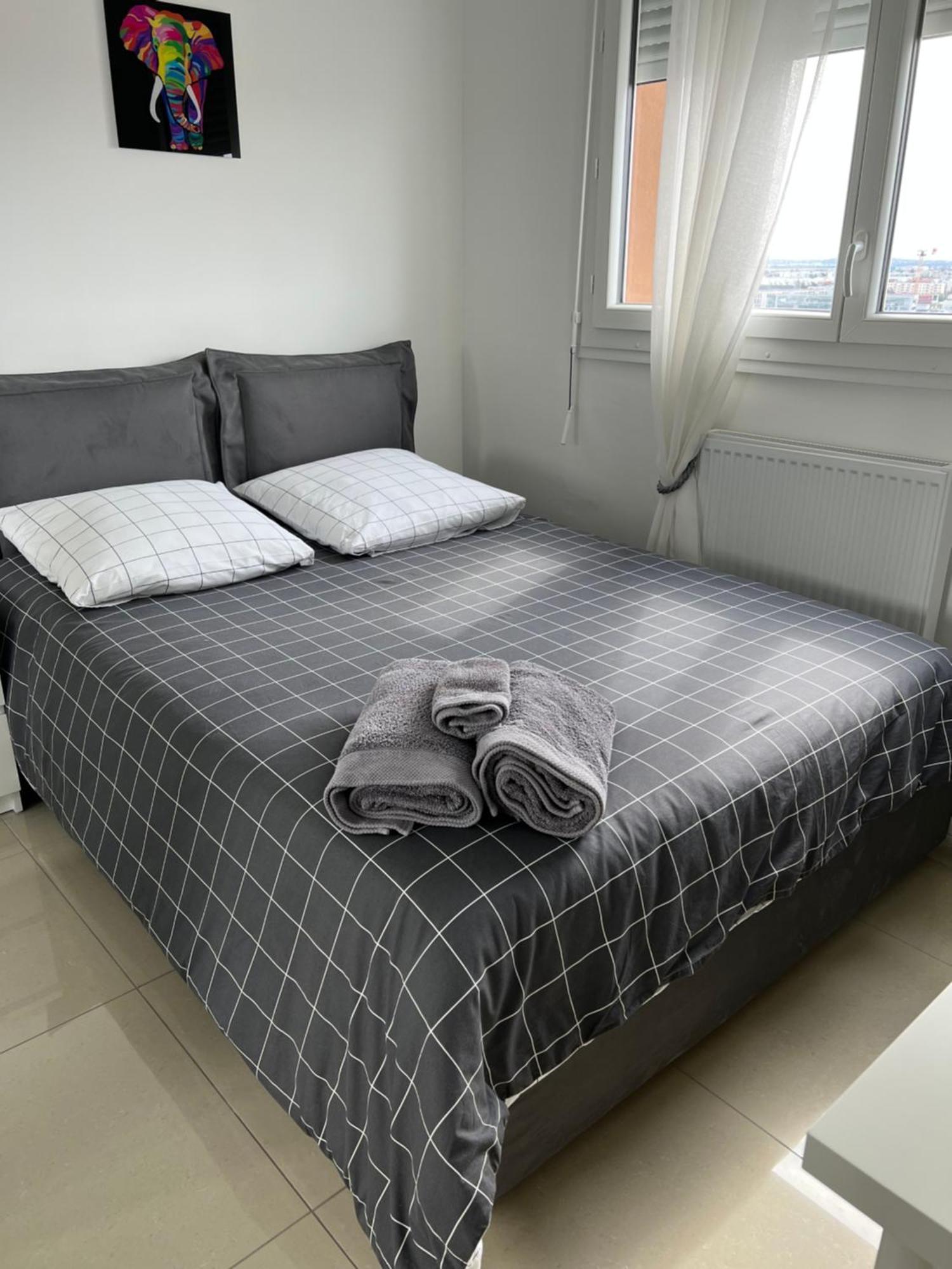Apartamento Super 4 Pieces Refait A Neuf Villeurbanne Exterior foto